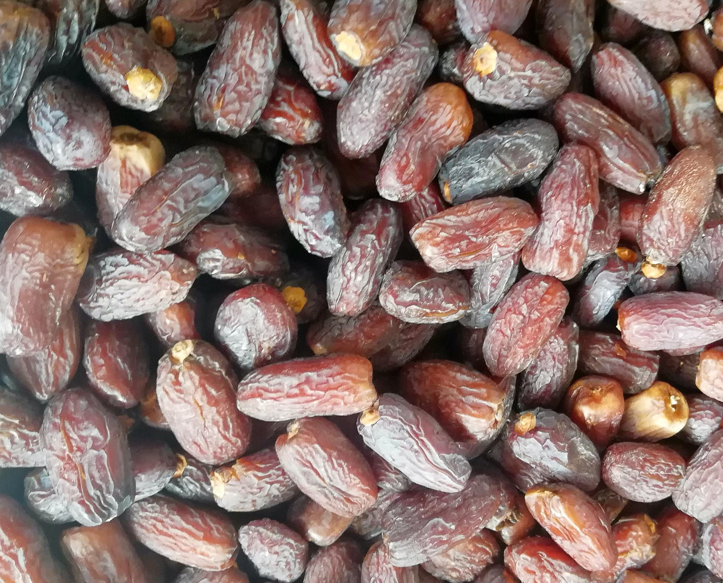 Majdool Dates Grade A | Saudi Dates