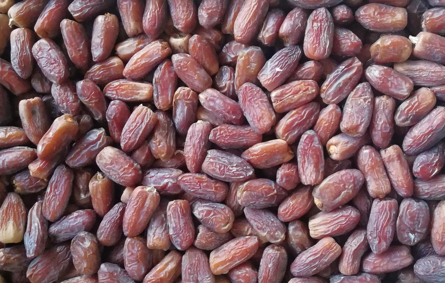 Majdool Dates Grade A | Saudi Dates